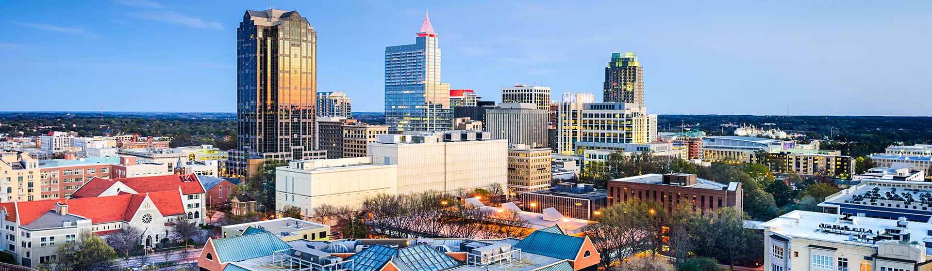 Raleigh Banner