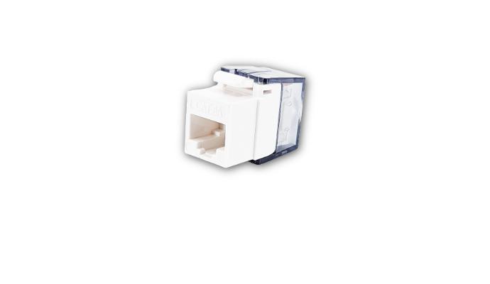 Cat 6A Data Jack, White, 10 Pack - Toolless