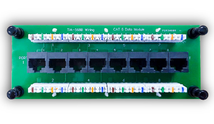 8 Port Cat 6 Data Module - T568B wiring